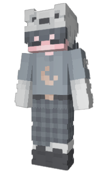 Minecraft skin DDiz