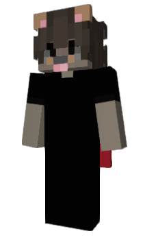 Minecraft skin ykstealth