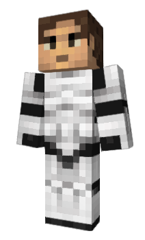 Minecraft skin Tokusatsu