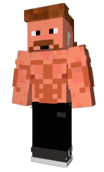 Minecraft skin VanHouten