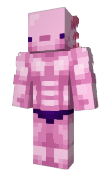 Minecraft skin MUSCLO