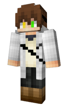 Minecraft skin NDEB