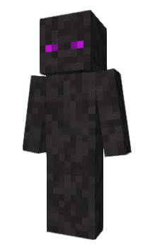 Minecraft skin lipon