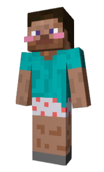 Minecraft skin lowl