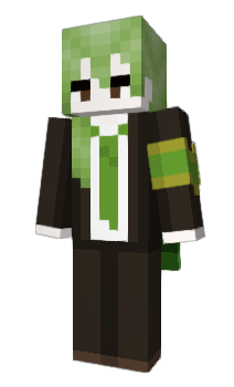 Minecraft skin Festia