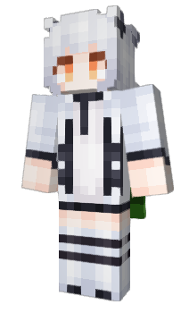 Minecraft skin 23650