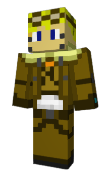 Minecraft skin BusDriver