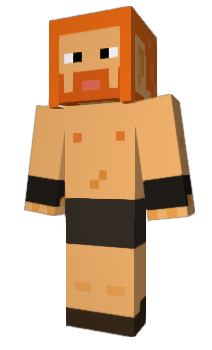 Minecraft skin WlDAR