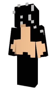 Minecraft skin Kingleader