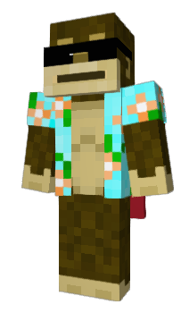 Minecraft skin zsgi