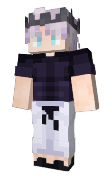 Minecraft скін по ніку Swights