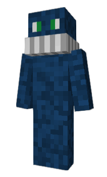 Minecraft skin CTGR