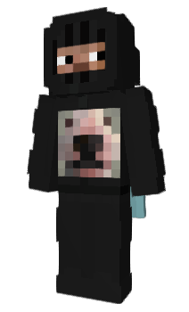 Minecraft skin L_ip