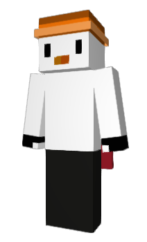 Minecraft skin PonziYt