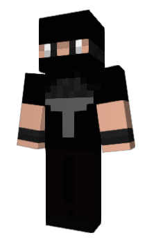 Minecraft skin presise