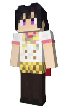 Minecraft skin rroki