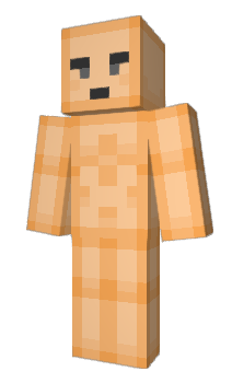 Minecraft skin Petoral