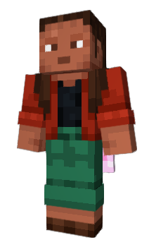 Minecraft skin wzb318