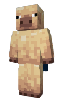 Minecraft skin LSNOP