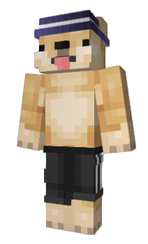 Minecraft скин по нику Particels