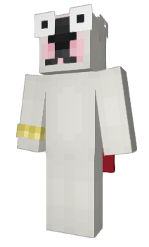 Minecraft skin duffling123