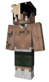 Minecraft skin reflim