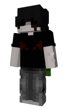 Minecraft skin StdHacker