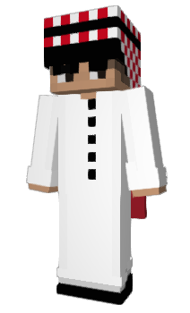 Minecraft skin v_z