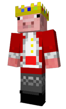 Minecraft skin TERHI65
