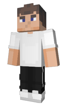 Minecraft skin gaulo