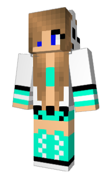 Minecraft skin JSCT
