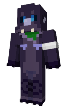 Minecraft skin CHARPIM