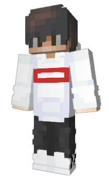 Minecraft скін по ніку 22Euro