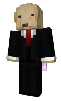 Minecraft skin SunFloAE