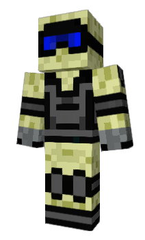 Minecraft skin Perfecta