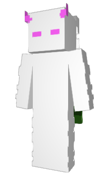 Minecraft skin wecu