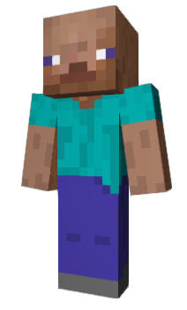 Minecraft skin pllp