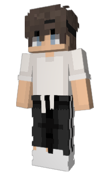 Minecraft skin timnik