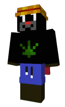 Minecraft skin Furmannn