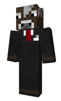 Minecraft skin LANN_