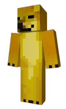 Minecraft skin SollyMC