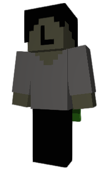 Minecraft skin bokum