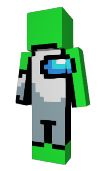 Minecraft skin CarryDS
