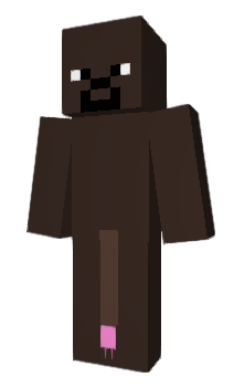 Minecraft skin Seshw