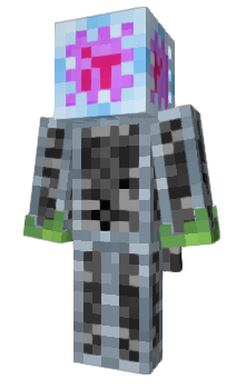 Minecraft скин по нику Elytran