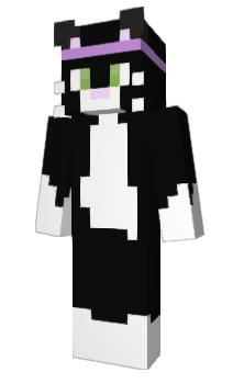 Minecraft скін по ніку vikstarrr