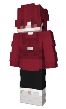 Minecraft skin v1preme