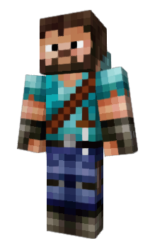 Minecraft skin D711
