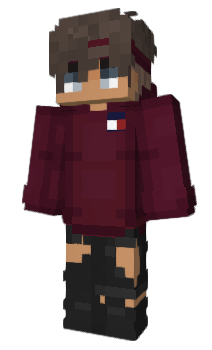 Minecraft skin 2n1