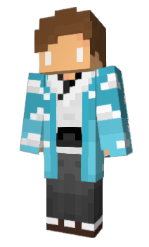 Minecraft skin INCAR